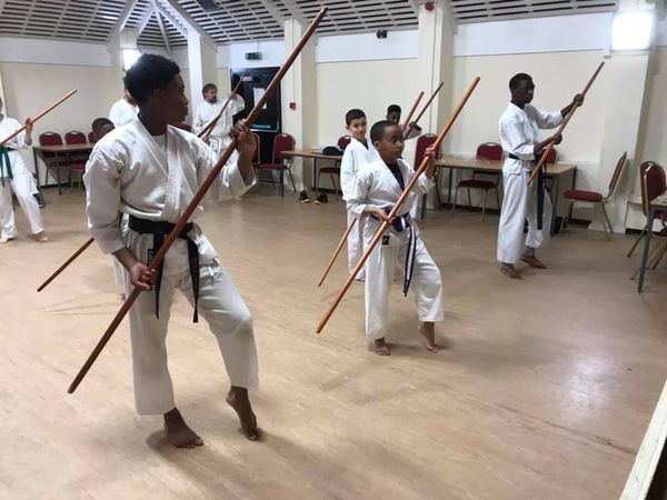 Practice Focus, Coordination, and Discipline Through Kobujutsu! 