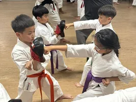 Shotokan Karate