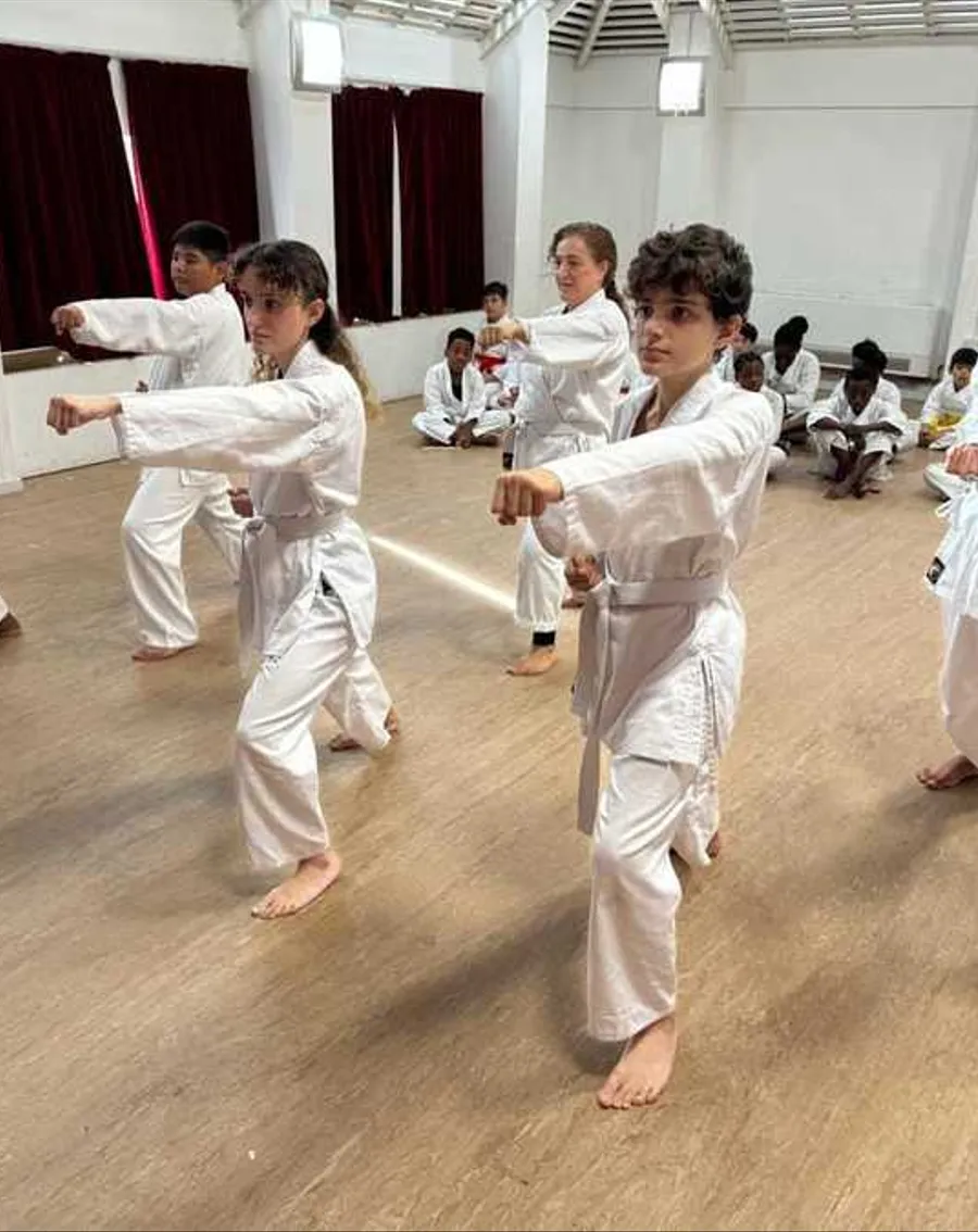Witness Your Child's Growth and Development Through Karate!